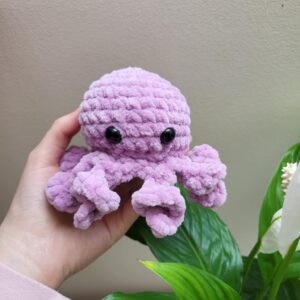 Tiny octopus